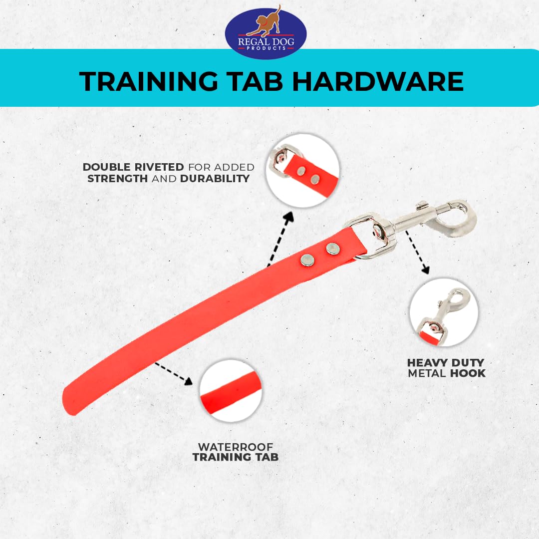 Regal Dog Products wipe-clean Biothane leash stays clean after adventures.