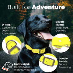 Regal Dog Products yellow 5ft leash demonstrates reliable control during walks