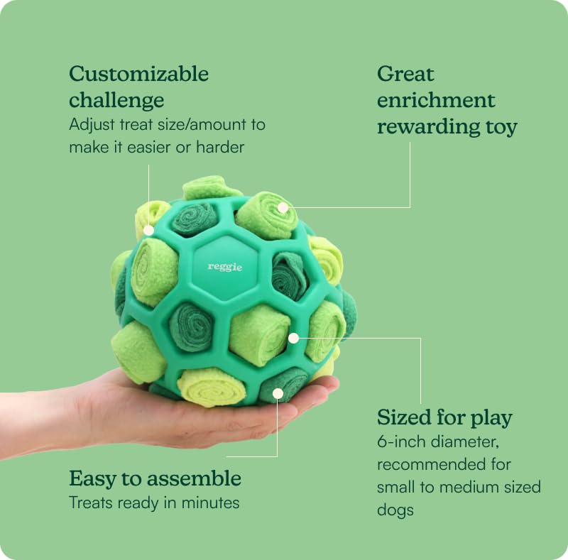 Reggie Forager Ball dog sniffing foraging scene promotes focused enrichment.