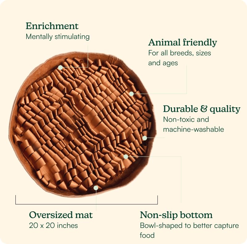 Reggie Stimulating Feeder Mat mealtime scene promotes slower eating and engagement.