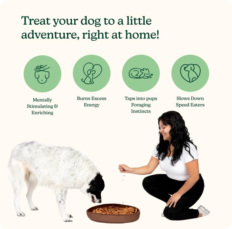 Reggie Stimulating Feeder Mat puppy enrichment image encouraging foraging and focus.