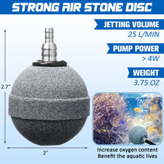 Reginary dense-bubble air stone demonstrates aeration for fish tanks and hydroponics.