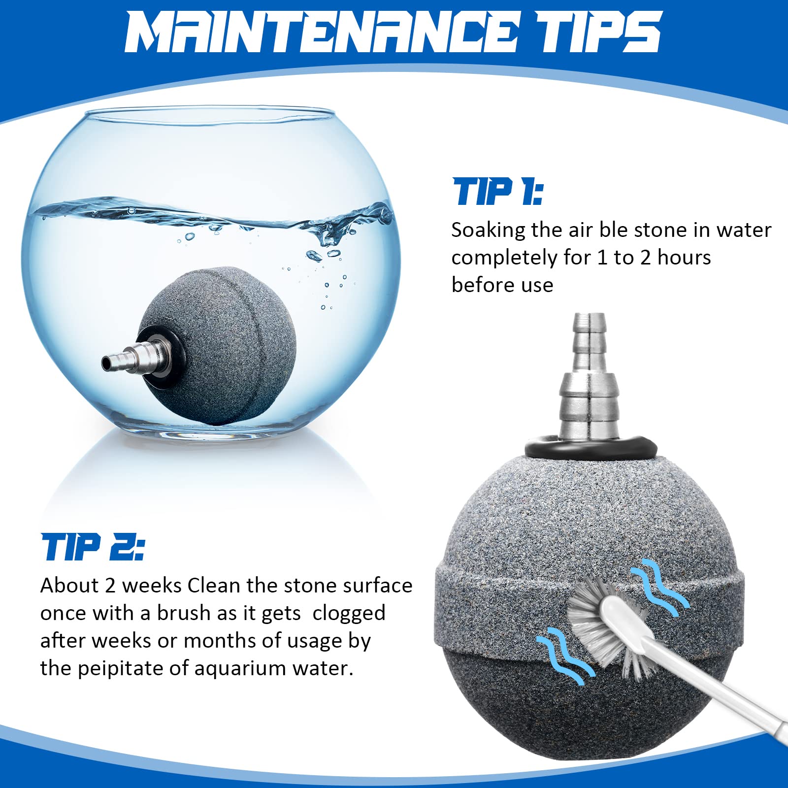 Reginary air stone shown across aquariums, hydroponics, and reservoirs for reliable aeration.