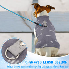 Reginary back D-ring lets you leash-walk without a collar.