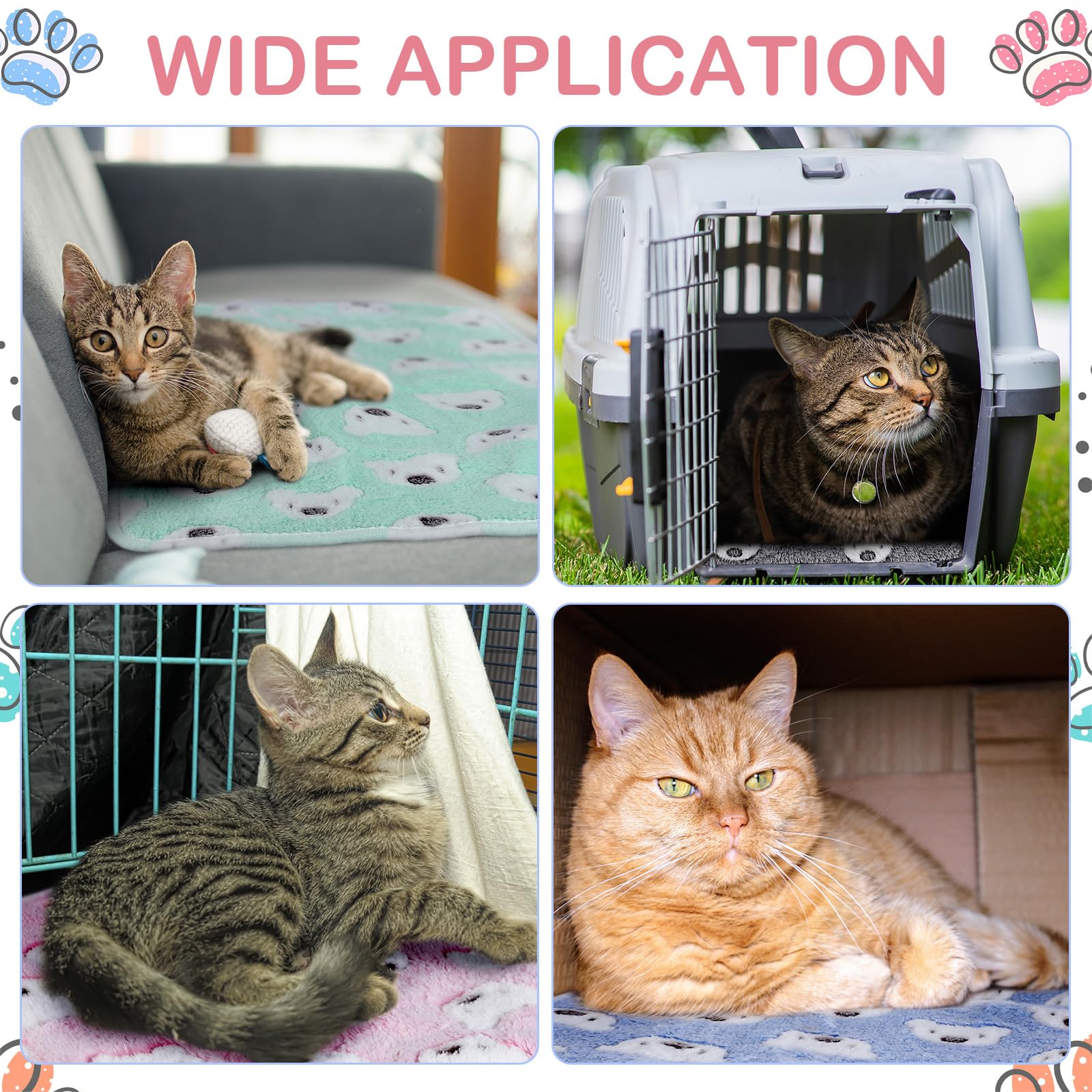 Reginary bear-pattern arrangement in cage shows versatile, four-season use and easy bedding swaps.
