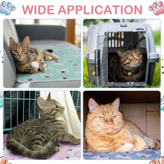 Reginary bear-pattern arrangement in cage shows versatile, four-season use and easy bedding swaps.
