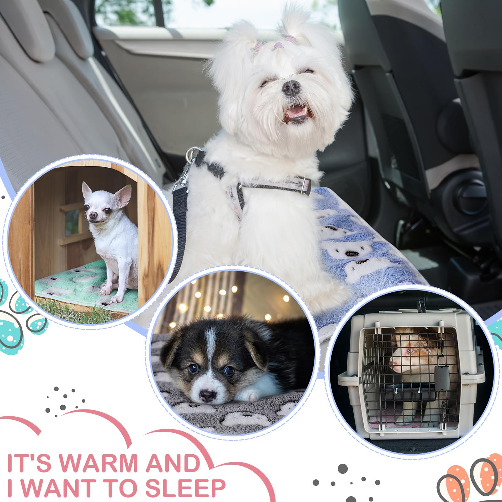 Reginary bear-pattern blanket on sofa illustrates multi-use as pad, mat, or travel companion.