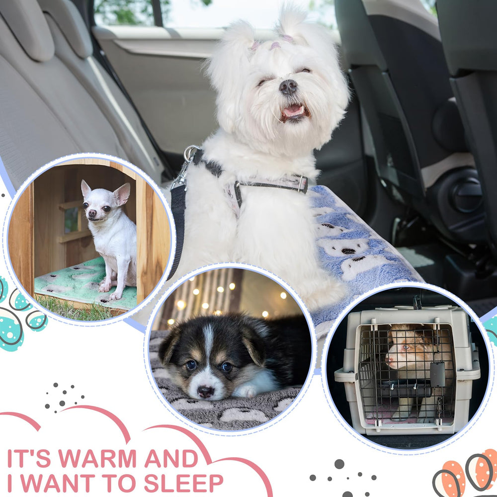 Reginary bear-pattern blanket on sofa illustrates multi-use as pad, mat, or travel companion.