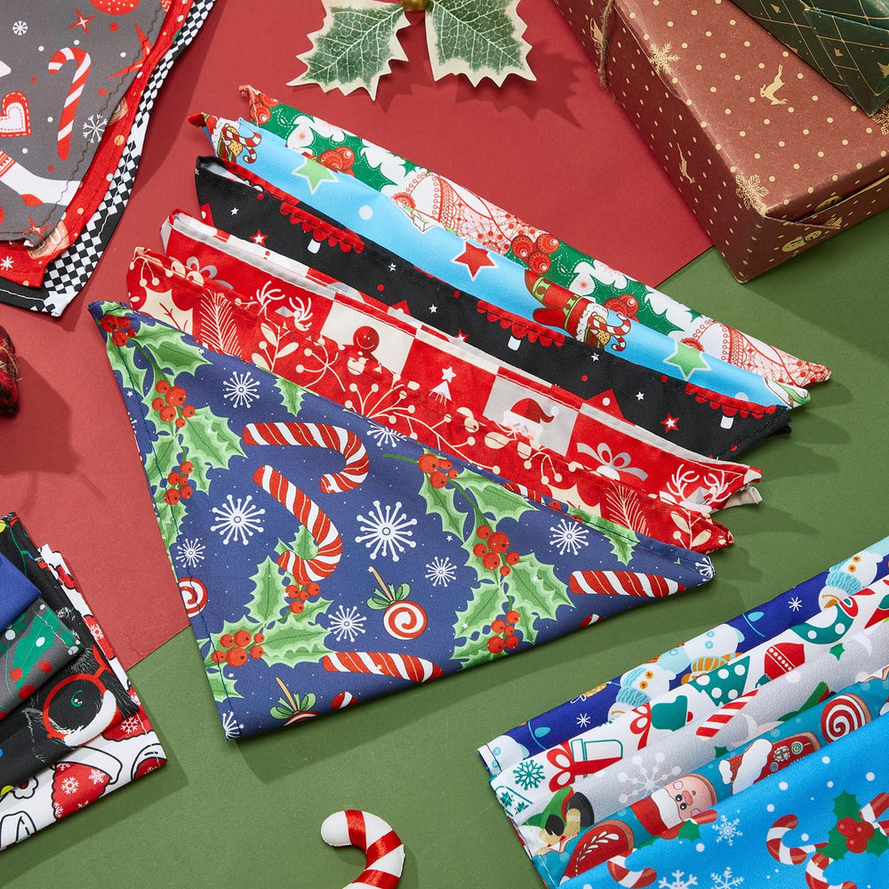 Reginary Christmas dog bandana worn on a dog during holiday photos.