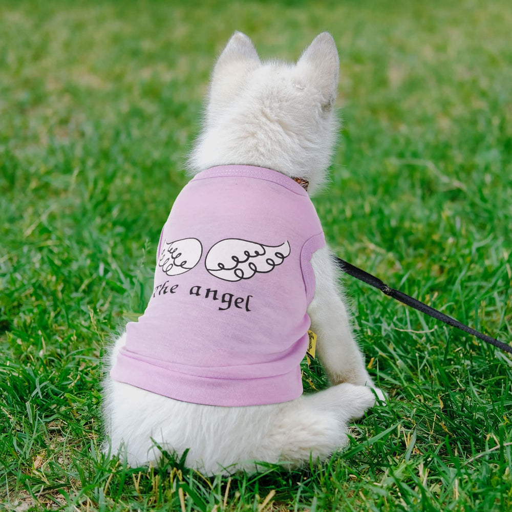 Reginary cute letters design dog clothes with playful styling