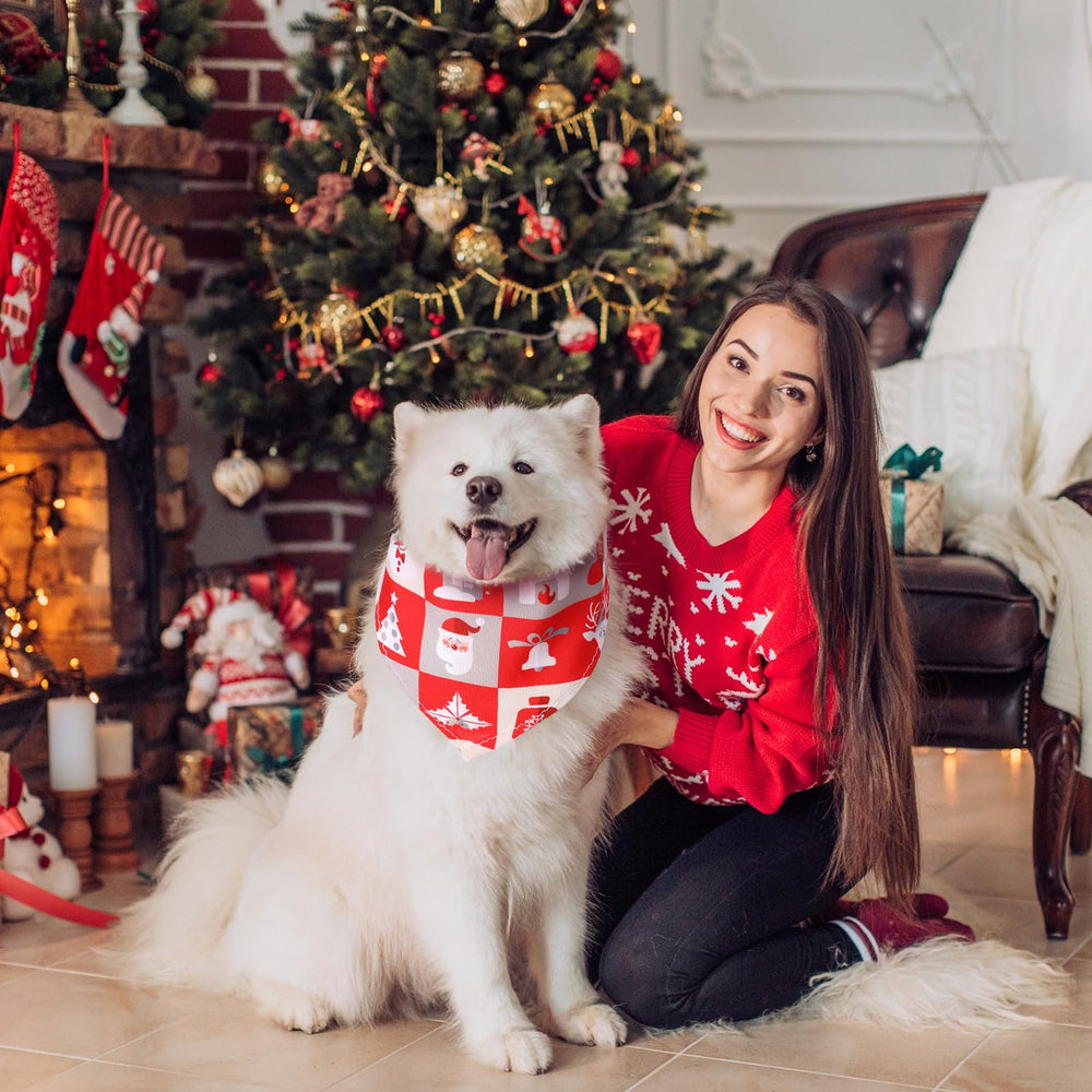 Reginary dog bandana in holiday events setting for seasonal style.