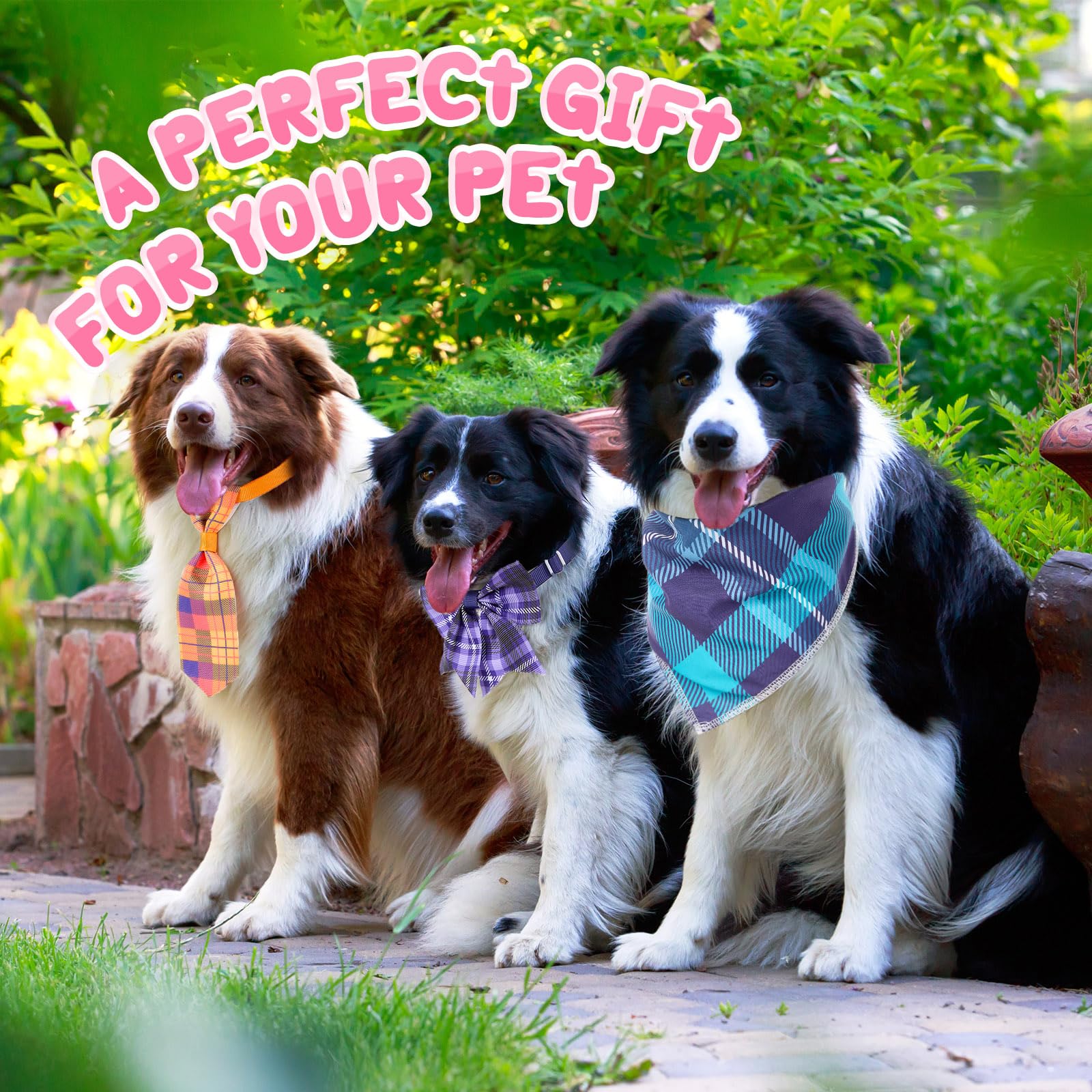 Reginary dog grooming accessories set supports versatile styling and easy care