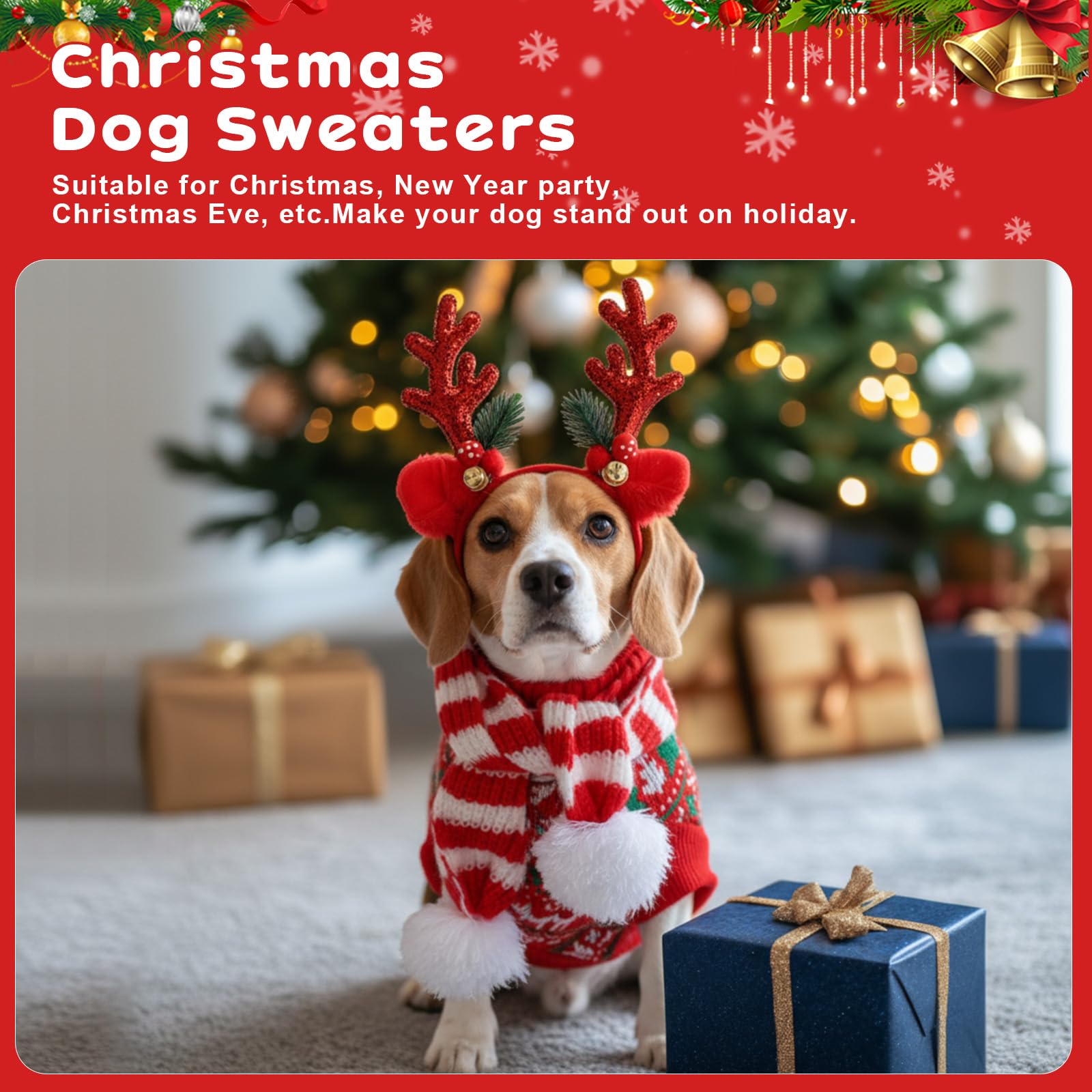 Reginary dog Christmas photo shoot look with sweater and scarf