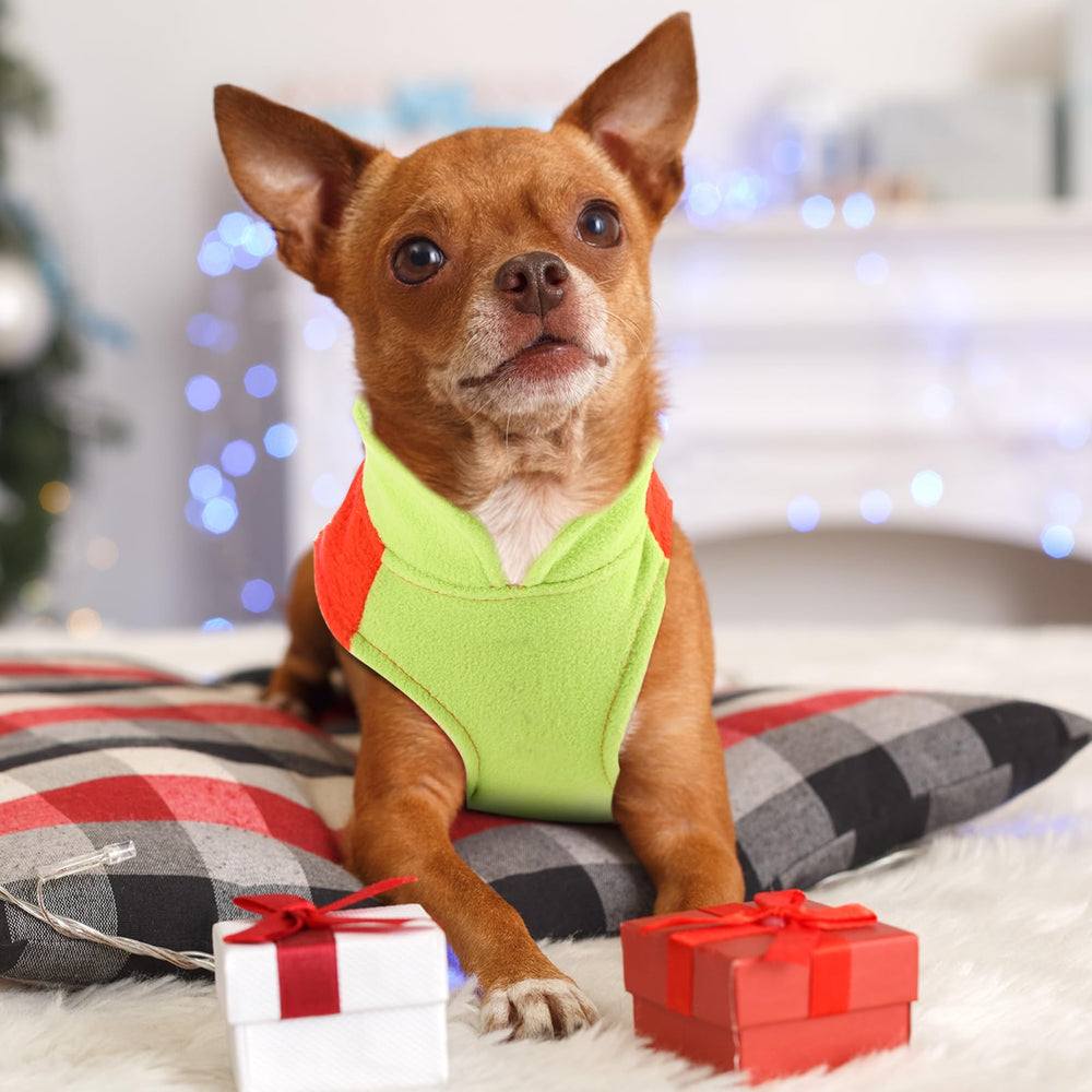 Reginary dog sweater in winter outdoor scene, cozy style
