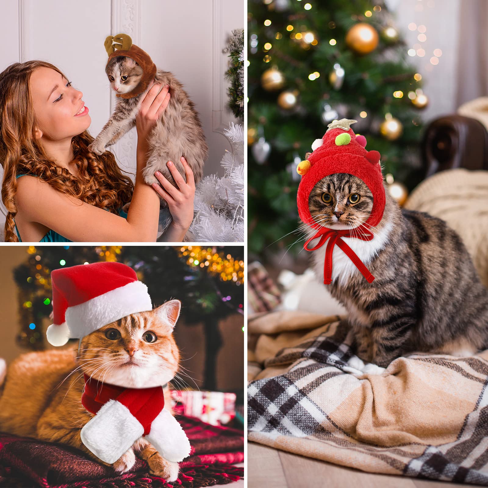 Reginary pet Christmas costume collection ideal for photos and parties