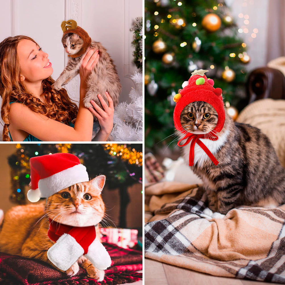 Reginary pet Christmas costume collection ideal for photos and parties