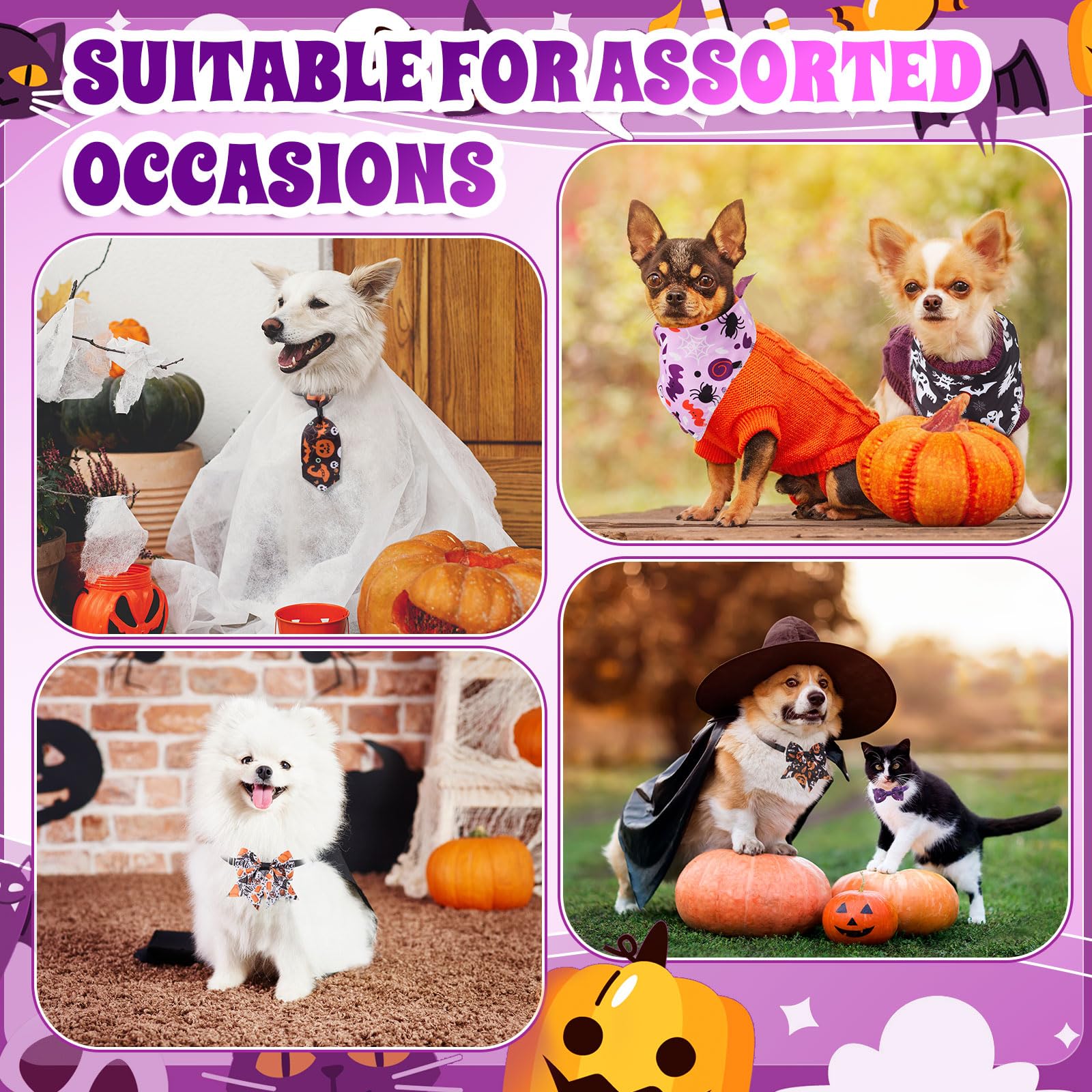 Reginary pets outdoors wearing set suits summer outings and photo moments.
