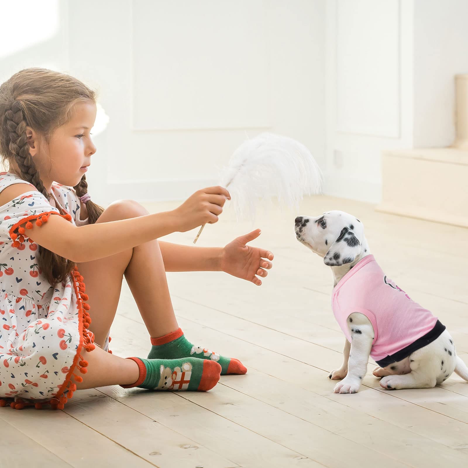 Reginary pets wearing pattern variety for everyday use and photos