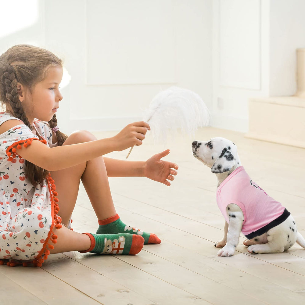 Reginary pets wearing pattern variety for everyday use and photos