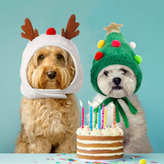 Reginary red Christmas tree hat with pentagram, adjustable for pets' comfort