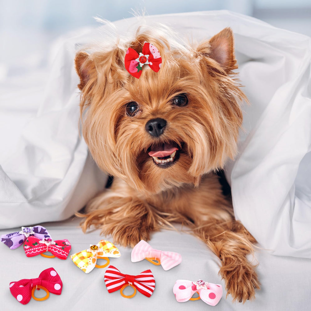 Reginary rubber band 0.39 inch, secure hold for pet bows.