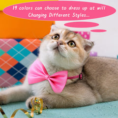Reginary soft polyester bow ties—lightweight comfort and durable wear for daily use.