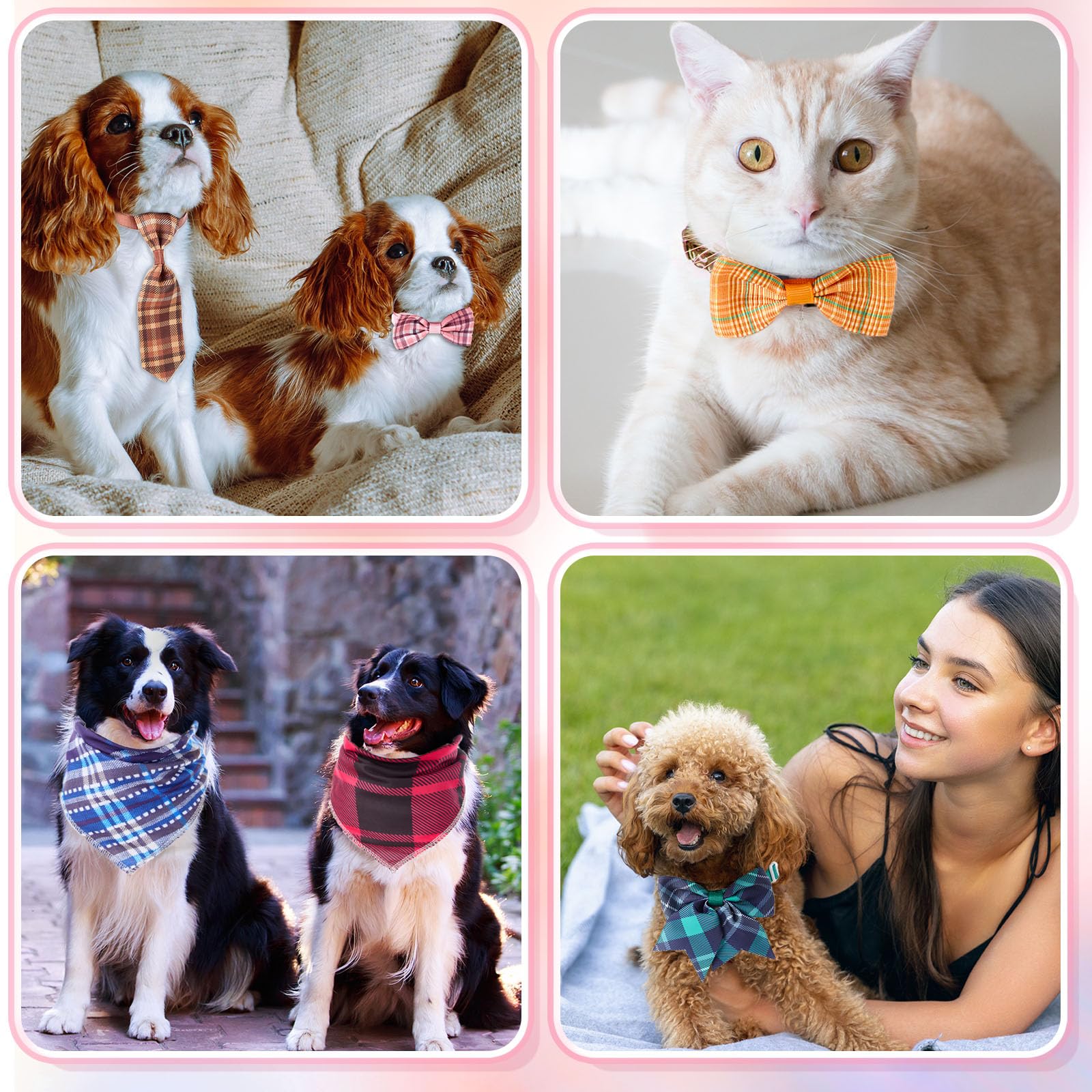 Reginary summer pet accessories bundle offers diverse styles for rotating looks