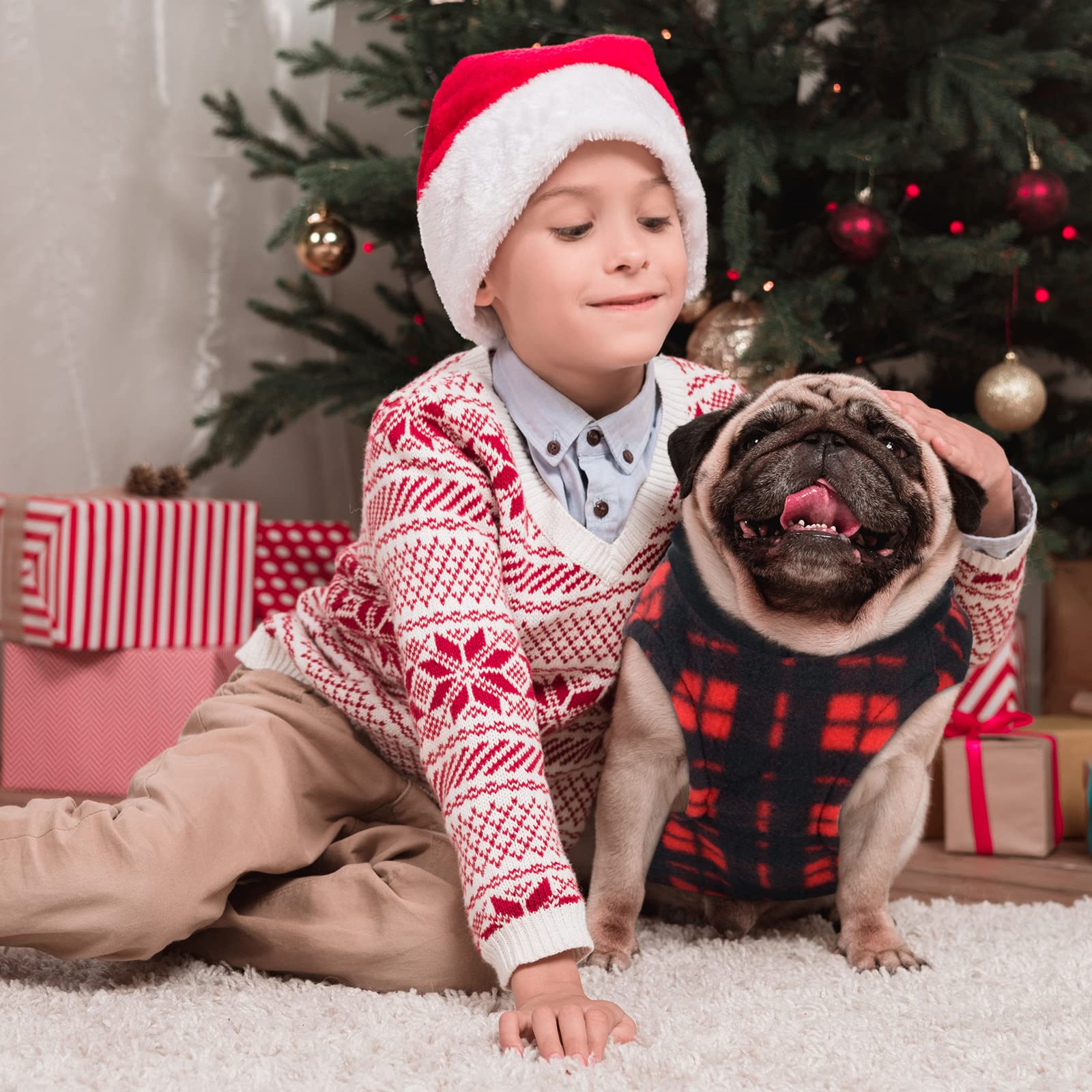 Reginary X-Large Dog Sweaters colorful styles collection offers versatile daily wear.