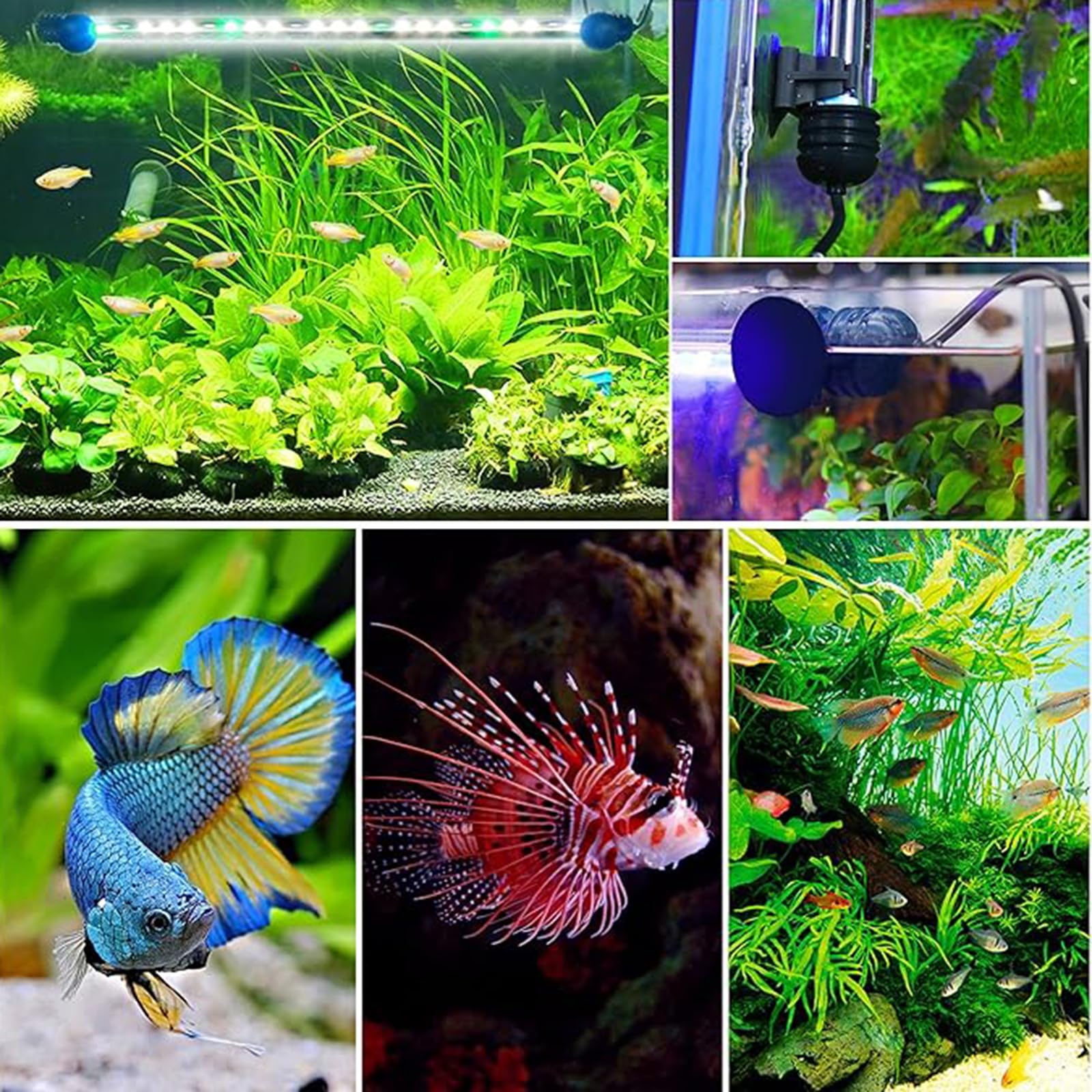 REIRQIE submersible aquarium light bottom suction placement for flexible setup