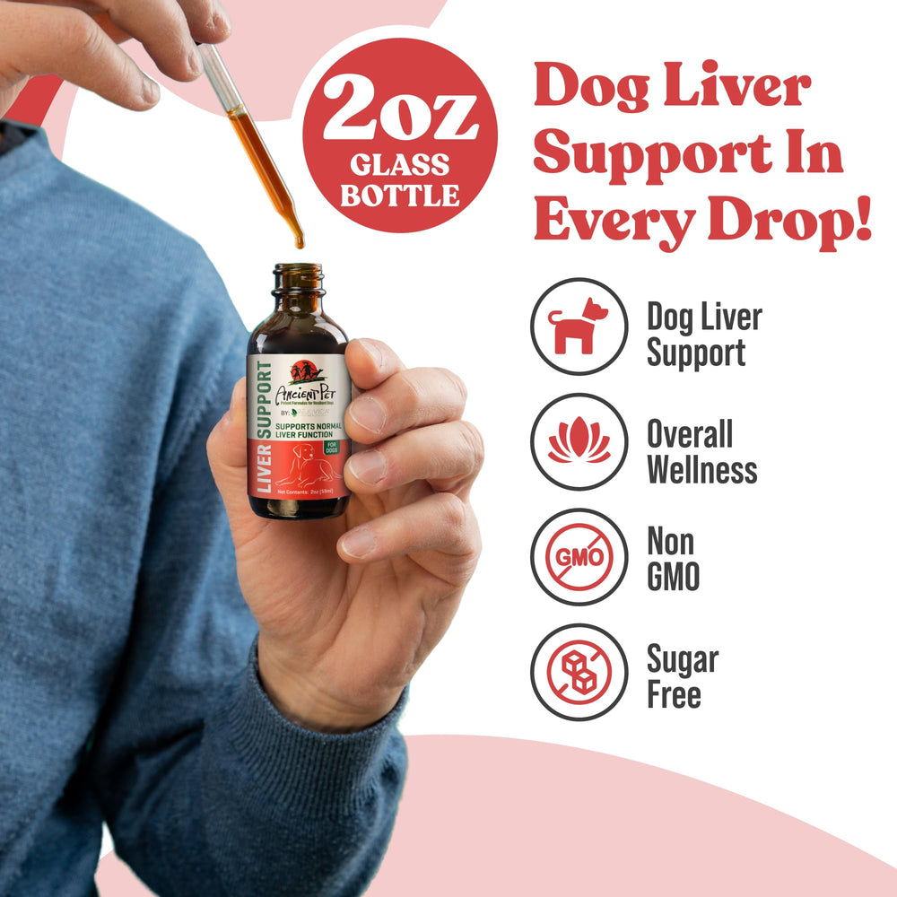 Rejuvica Health Angelica Root for Dogs—traditional herb blend for vitality.
