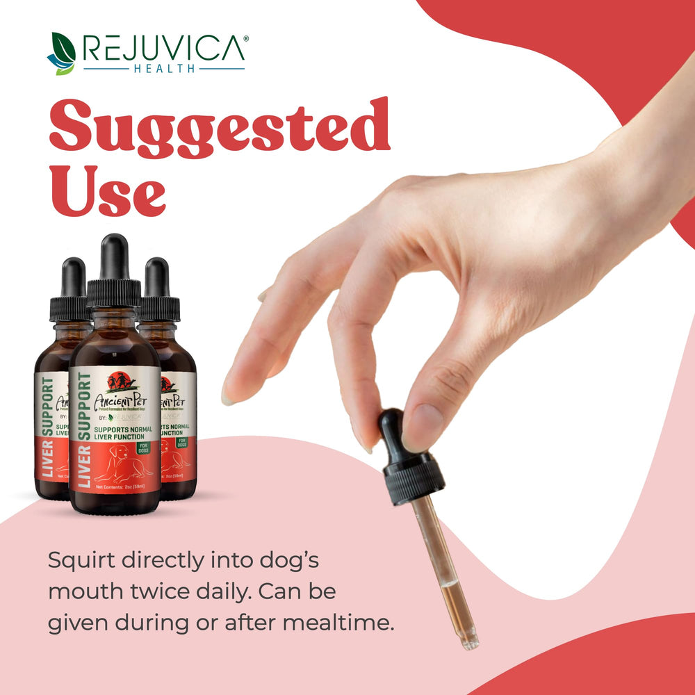 Rejuvica Health Dandelion Root for Dogs—herbal support you can mix with meals.