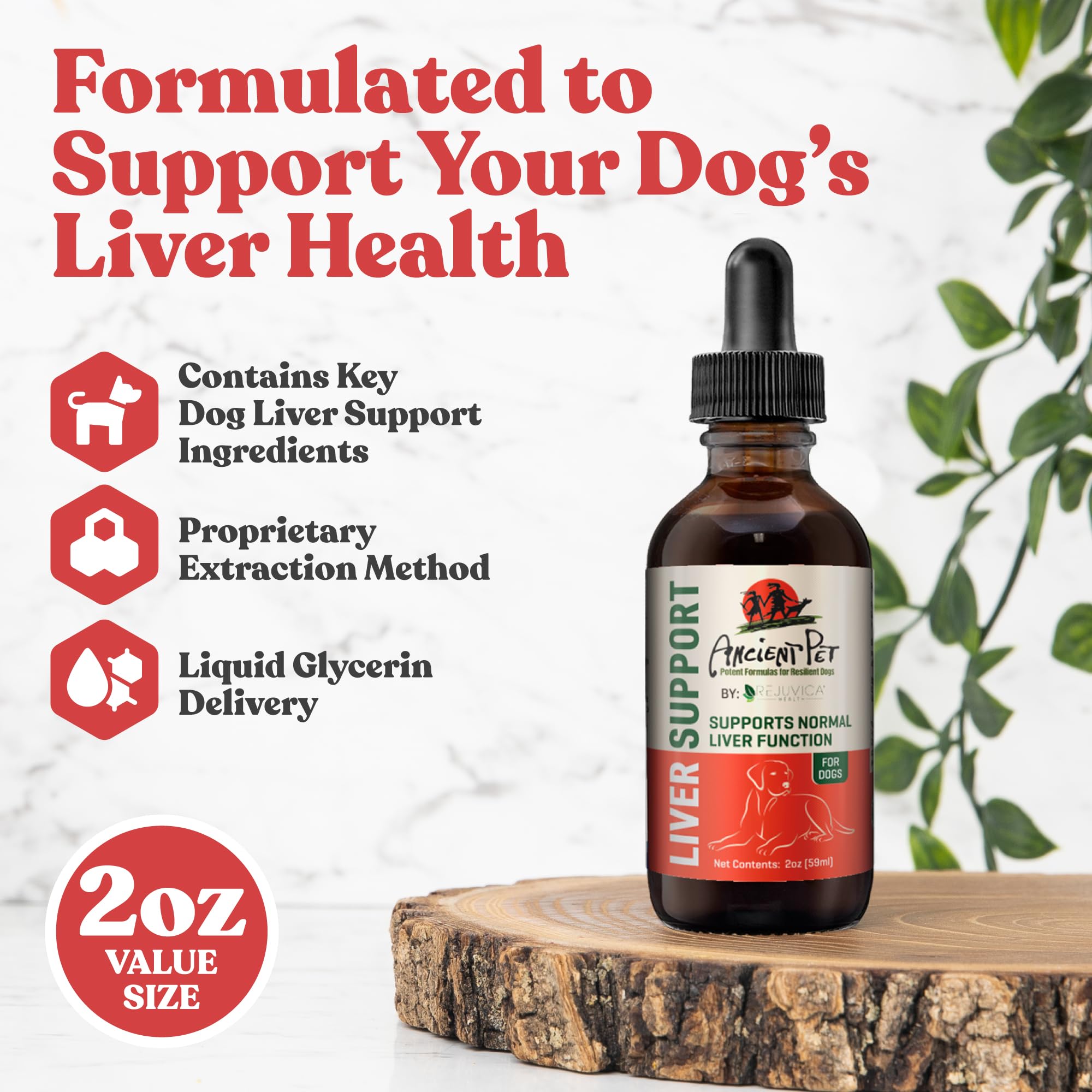 Rejuvica Health Milk Thistle for Dogs liquid drops—quickly absorbed, easy dosing.