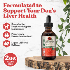 Rejuvica Health Milk Thistle for Dogs liquid drops—quickly absorbed, easy dosing.