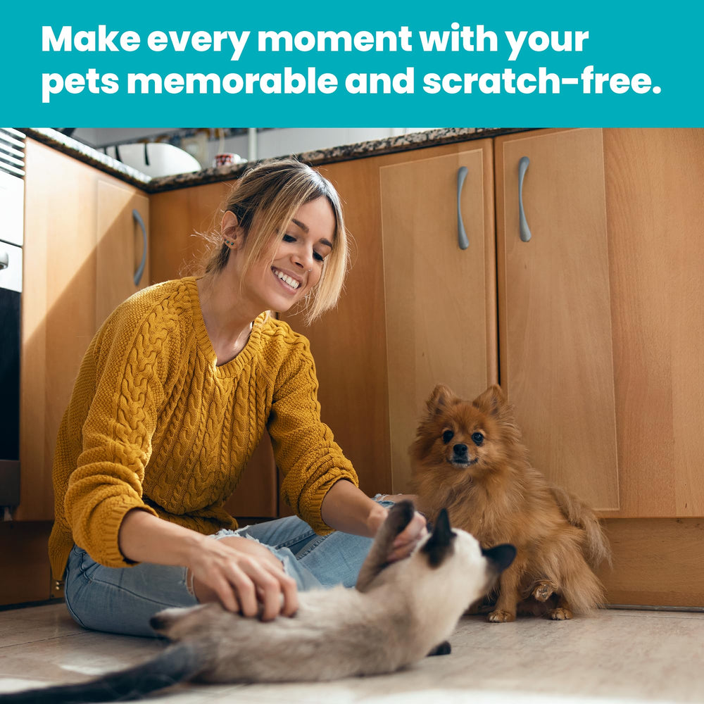 Reli cat-dog-door-protector 40x8 helps keep doors looking new in pet homes.