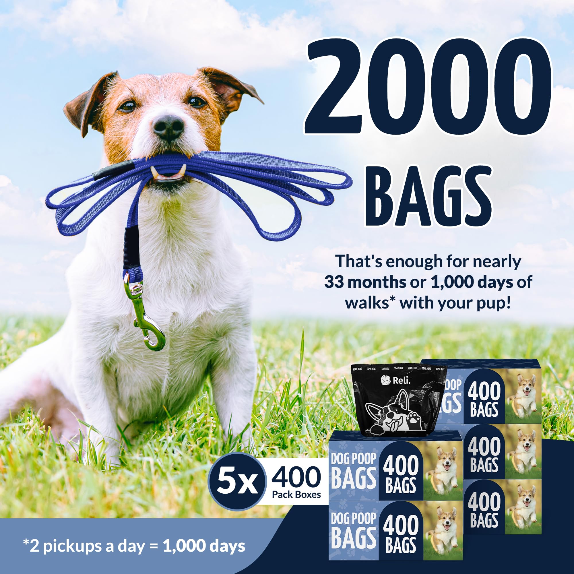 Reli dog poop bags five large rolls in a dispenser box for easy storage