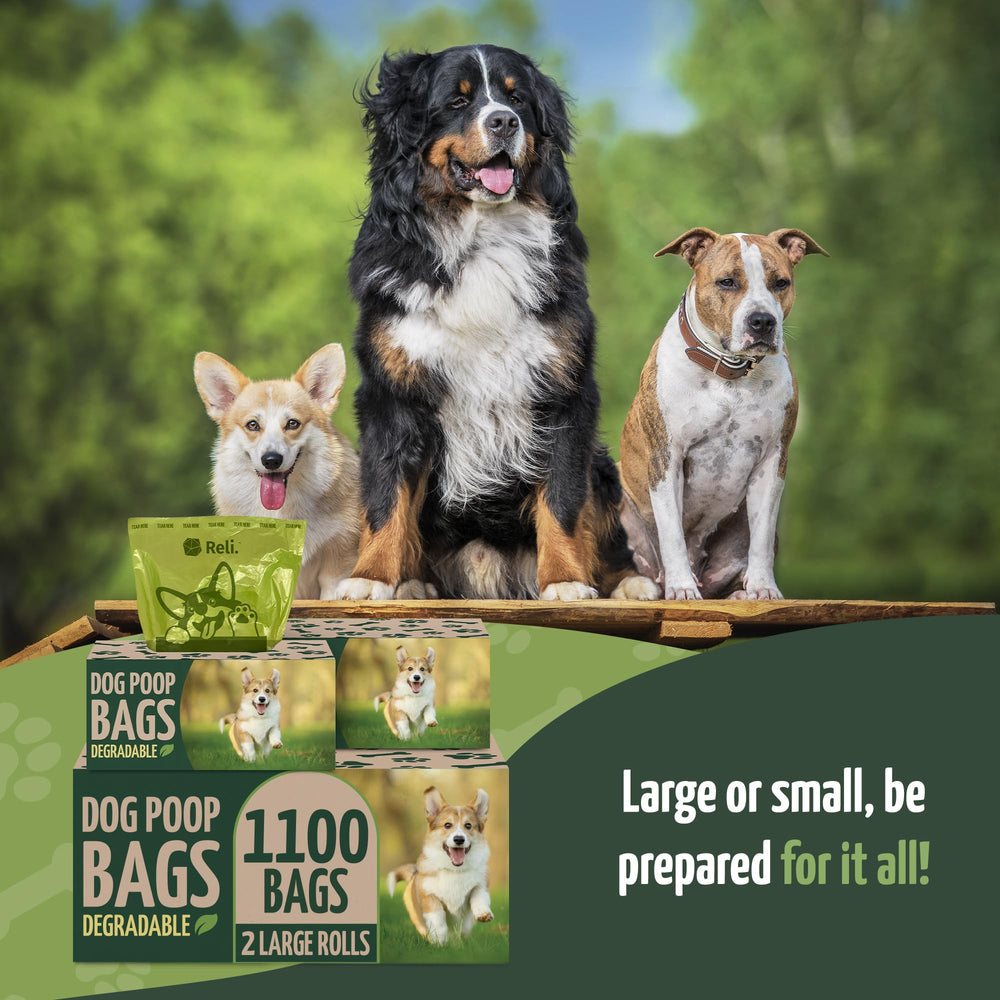 Reli eco-friendly biodegradable bags highlight sustainability with oxobiodegradable formulation.