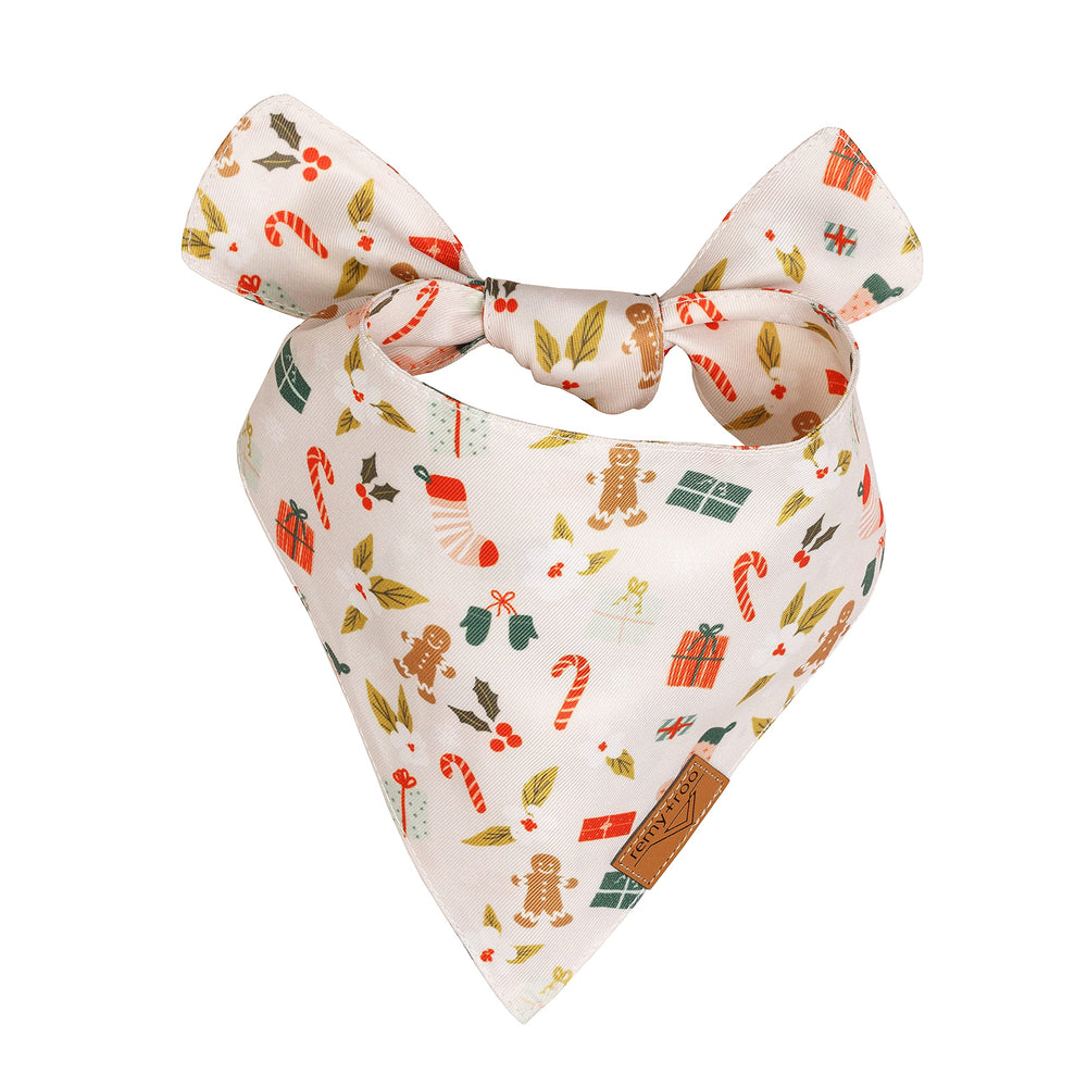 Remy+Roo dog bandanas 2pack durable fabric closeup highlighting dual-layer construction