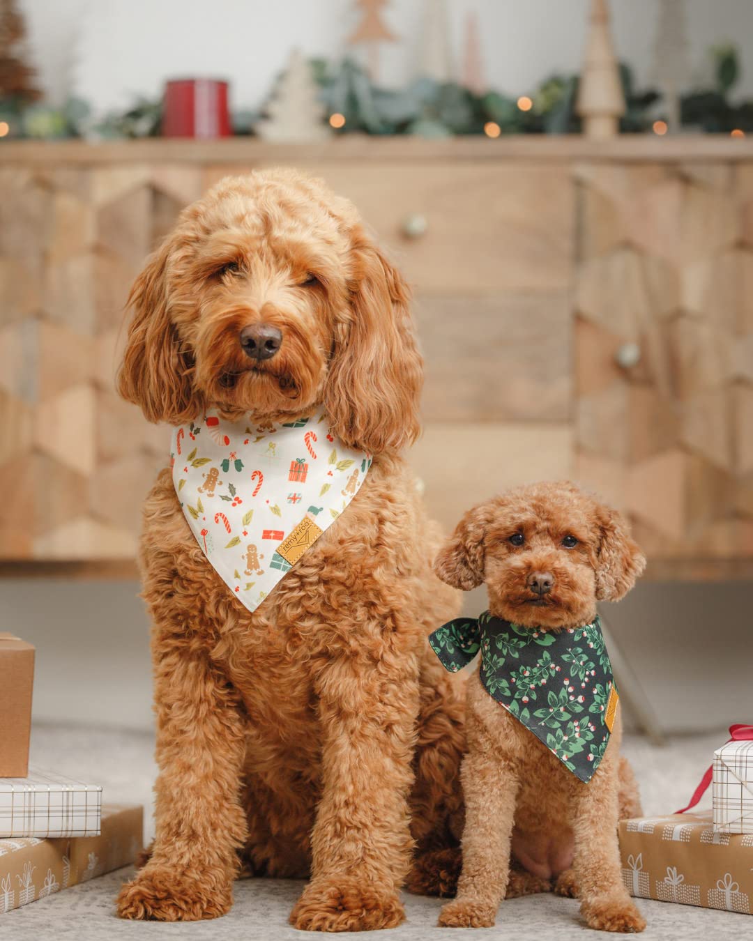 Remy+Roo Holly Set dog bandanas on dog showcasing coordinated holiday look