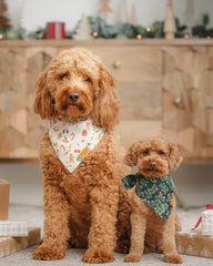 Remy+Roo Holly Set dog bandanas on dog showcasing coordinated holiday look