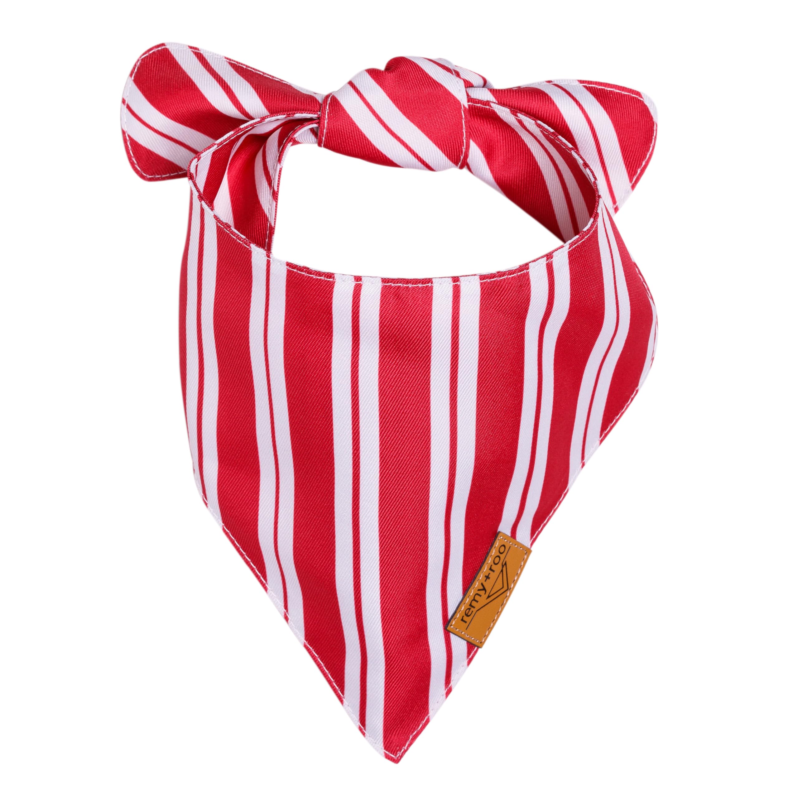 Remy+Roo dual-layer durable fabric bandana stands up to adventures.