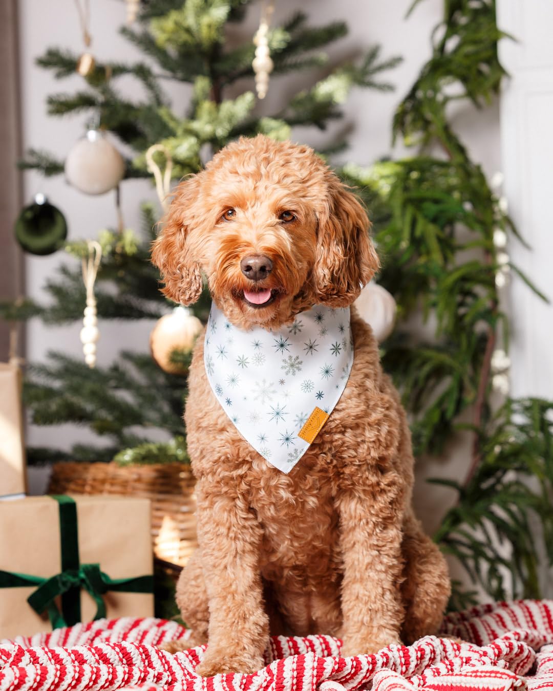 Remy+Roo holiday-patterns bandana set offers stylish festive designs.