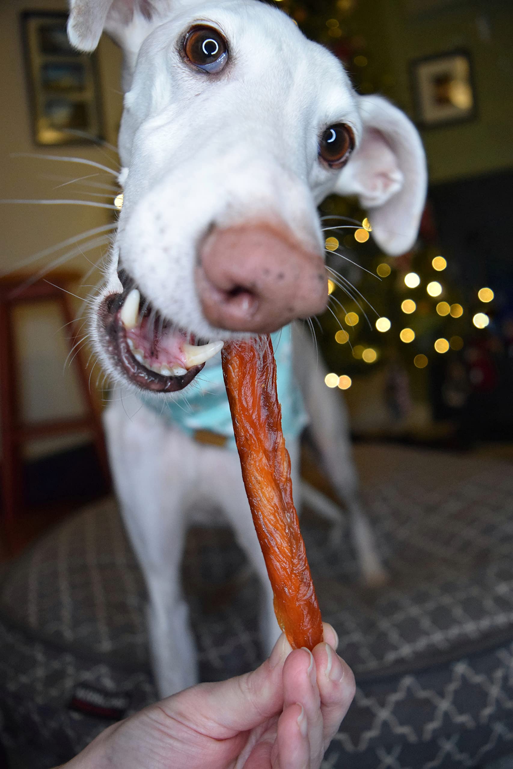 Glucosamine supports joints during walks and play with these sticks.