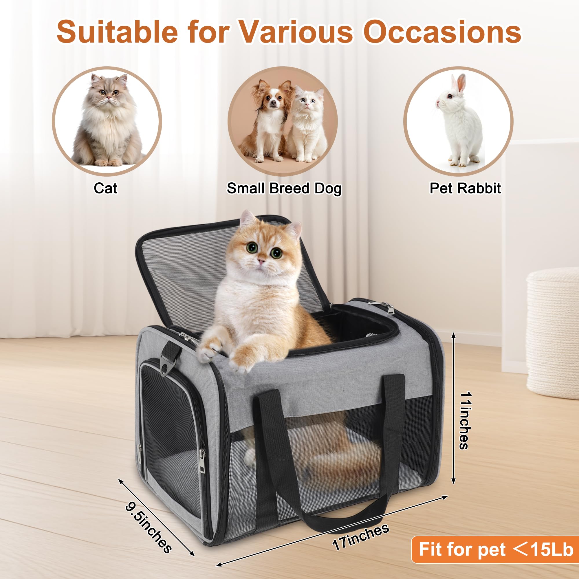 RENEWREVITAL pet-carrier-shoulder-strap demonstrates hands-free carrying on the go