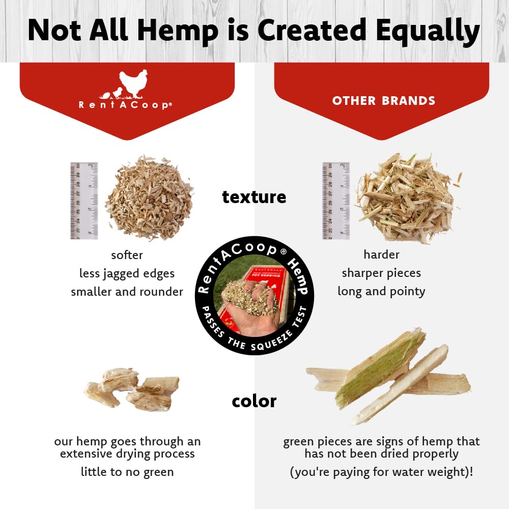 RentACoop absorbent-odor-control hemp bedding reduces moisture and odors in coops.