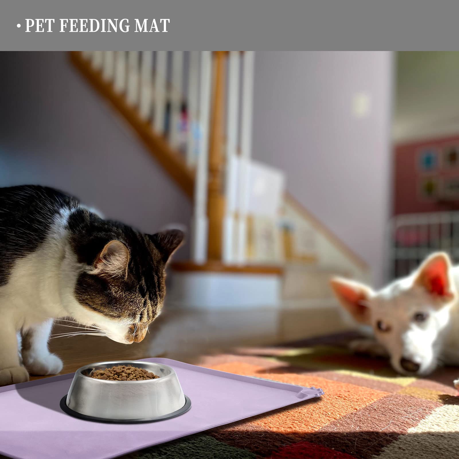Reopet mat suits dogs and cats during mealtime, protecting floors