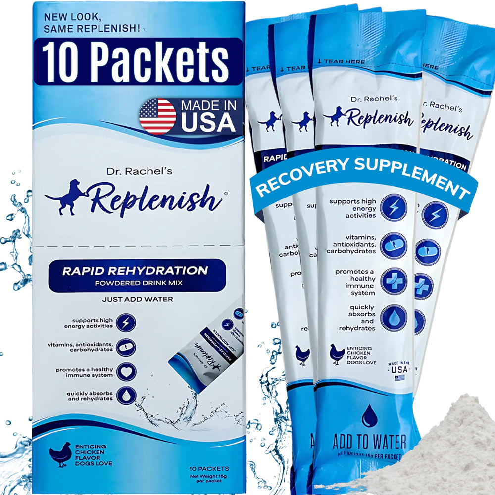 Replenish Dog Recovery Water Supplement packet ready-to-mix for quick hydration after exercise.