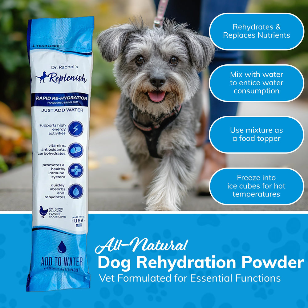 Replenish recovery formulation in a travel kit supports post-activity rehydration.
