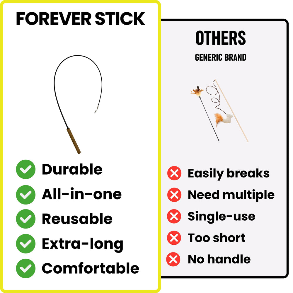 Repounce Forever Stick in use during indoor cat play session