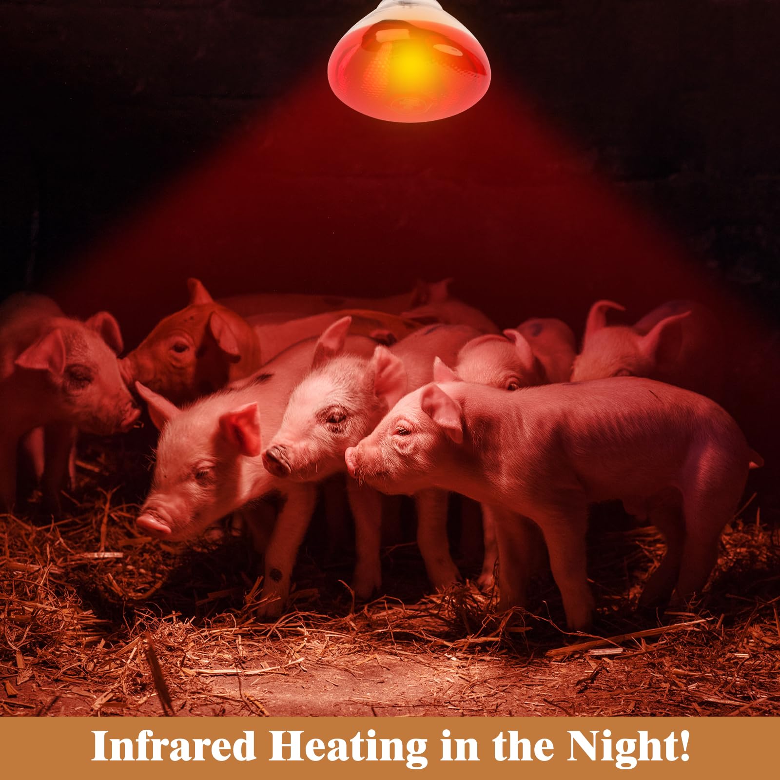 REPTI HOME 250W red heat lamp bulb for pets and reptiles providing reliable warmth