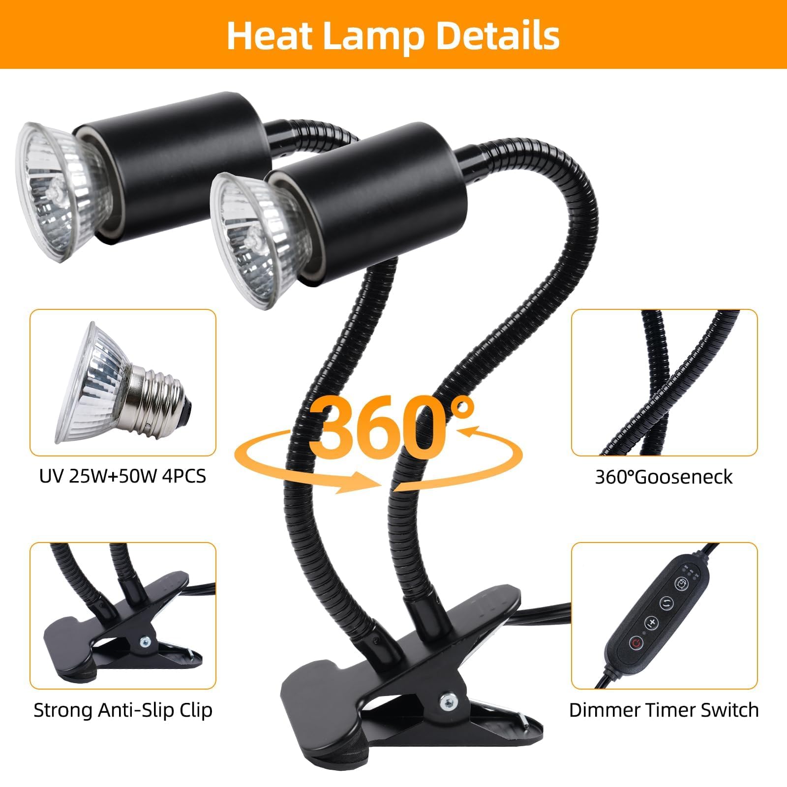 REPTI HOME 25W bulbs provide supplementary warmth for cooler microclimates.